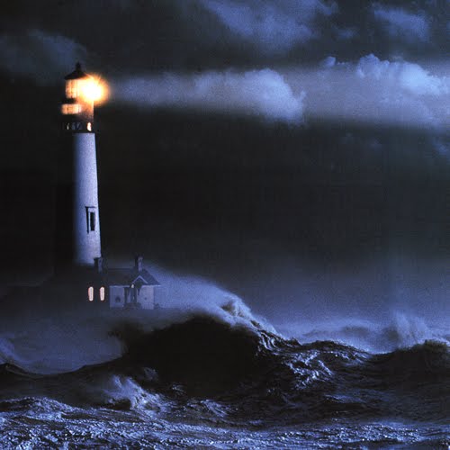 WeMustBecomeThePitilessweb-500px