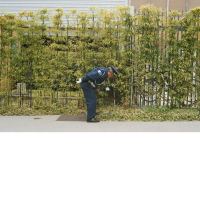 gold-panda-good-luck-do-best-album