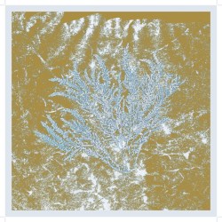 816216020998_T27481204150054